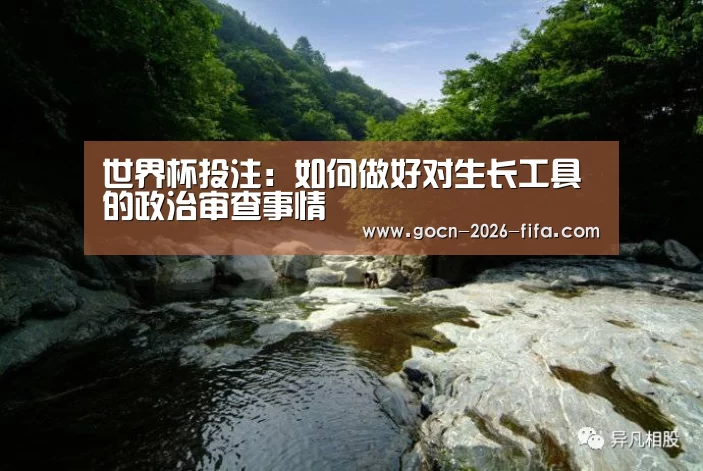 世界杯投注:如何做好对生长工具的政治审查事情(图3) 世界杯投注